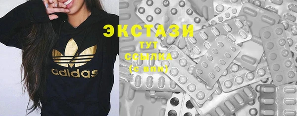 индика Лихославль