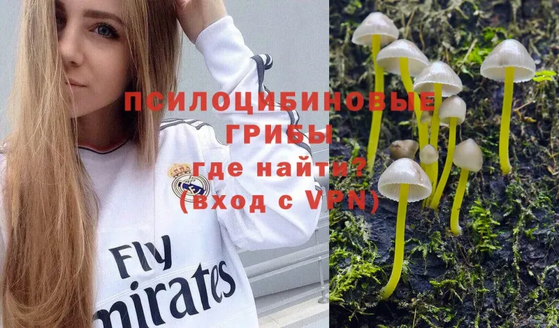 купить наркотики сайты  Бобров  это состав  Псилоцибиновые грибы Magic Shrooms 